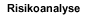 sub_risikoanalyse
